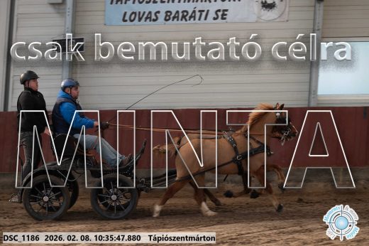 Mintakép 20260208-1588