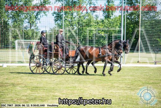 Mintakép 20260612-321