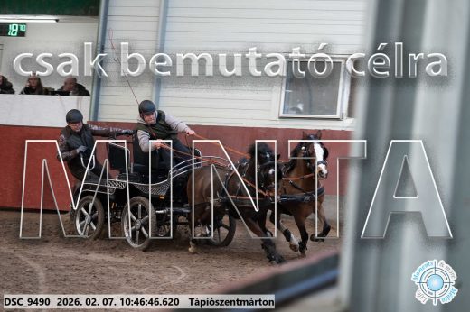 Mintakép 20260207-946