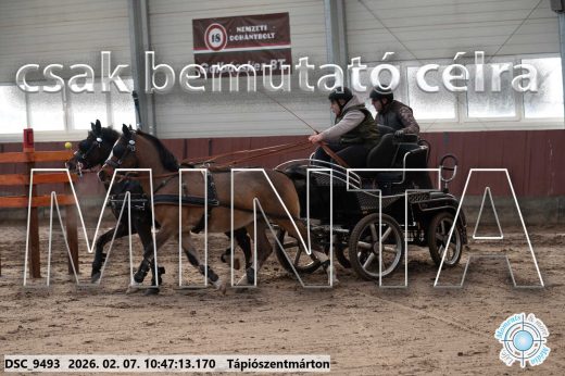 Mintakép 20260207-948
