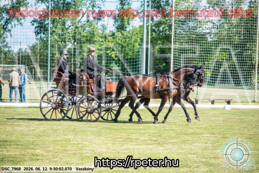 Mintakép 20260612-322