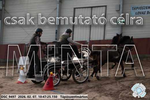 Mintakép 20260207-951