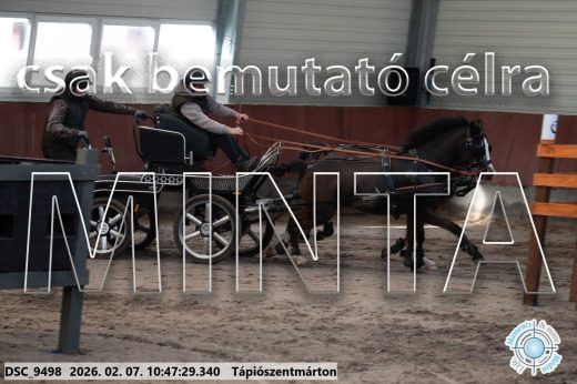 Mintakép 20260207-952
