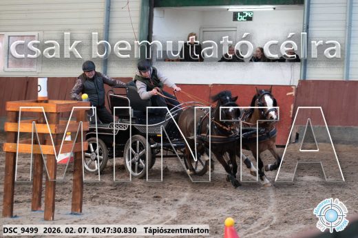 Mintakép 20260207-953