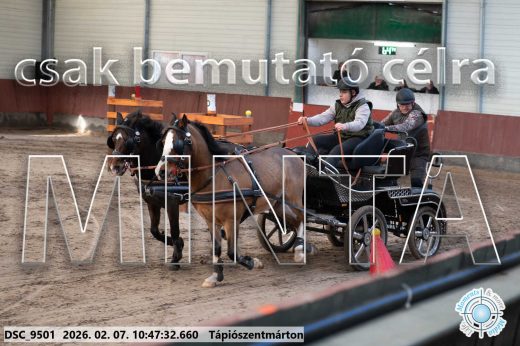 Mintakép 20260207-955