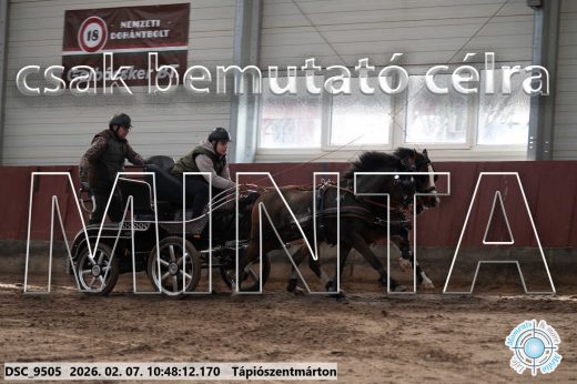 Mintakép 20260207-958