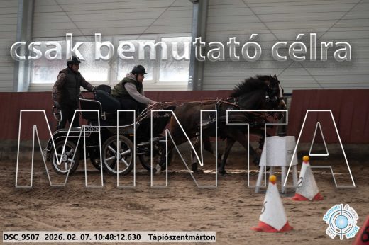 Mintakép 20260207-959