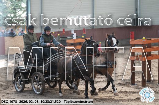 Mintakép 20260208-1589