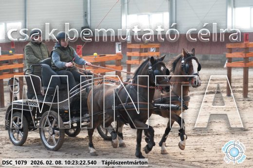 Mintakép 20260208-1590