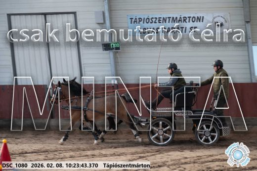 Mintakép 20260208-1591
