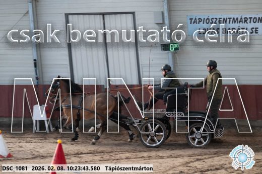 Mintakép 20260208-1592