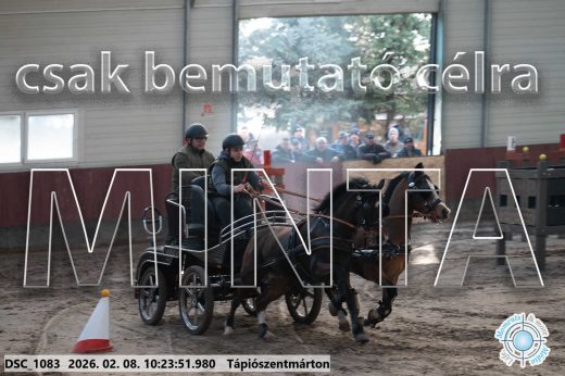 Mintakép 20260208-1593