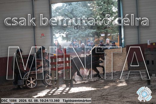 Mintakép 20260208-1594