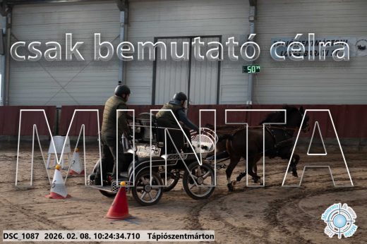Mintakép 20260208-1595