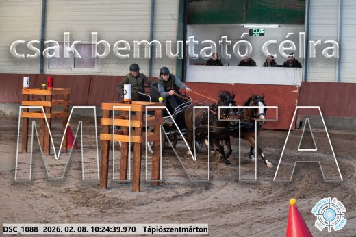 Mintakép 20260208-1596