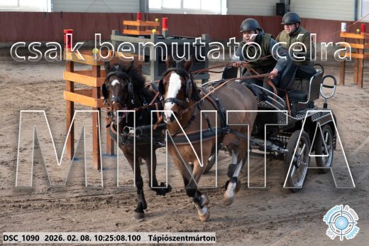 Mintakép 20260208-1598