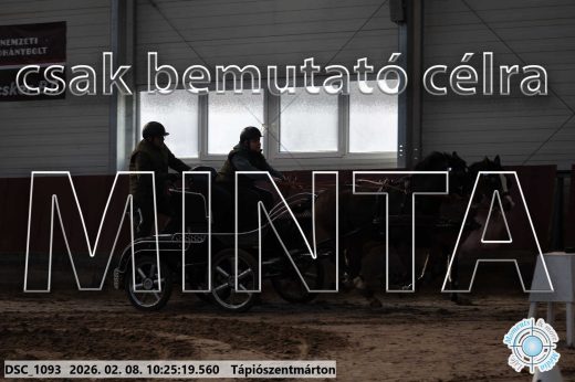 Mintakép 20260208-1601