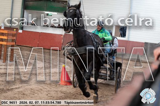 Mintakép 20260207-966