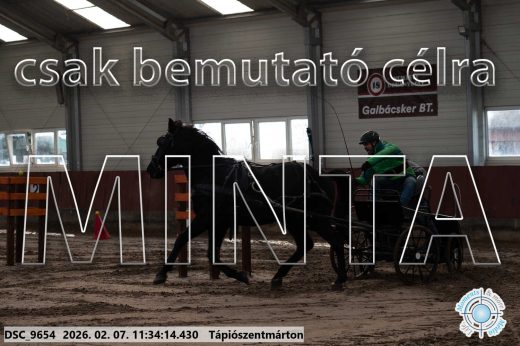 Mintakép 20260207-967