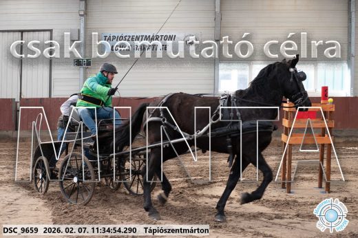 Mintakép 20260207-971
