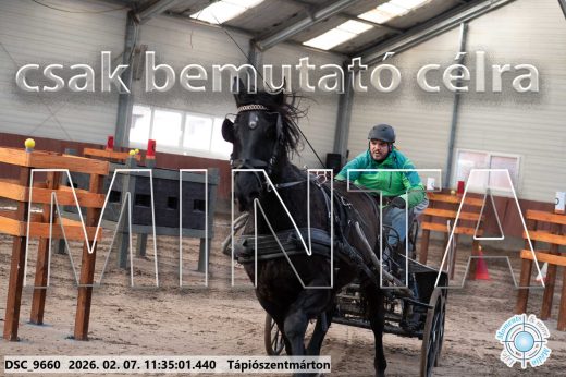 Mintakép 20260207-972