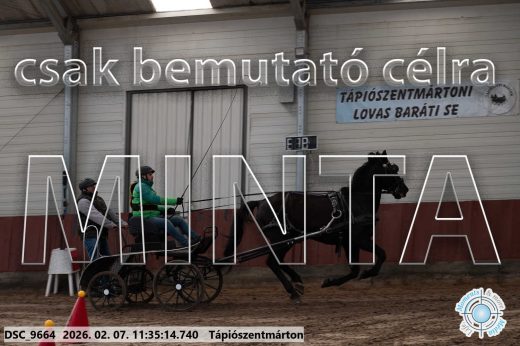 Mintakép 20260207-974