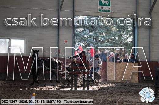 Mintakép 20260208-1603