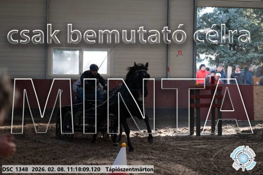 Mintakép 20260208-1604