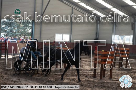 Mintakép 20260208-1605
