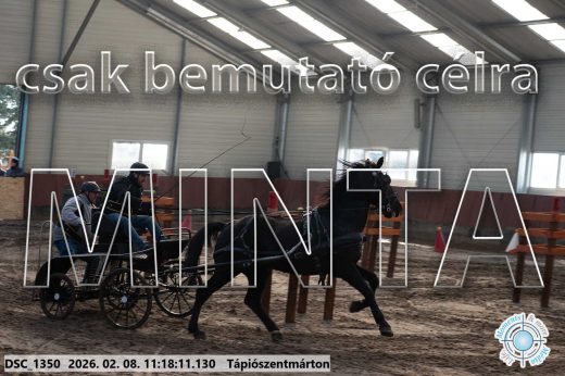 Mintakép 20260208-1606