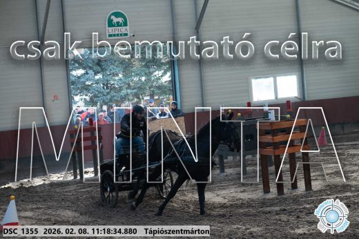 Mintakép 20260208-1611