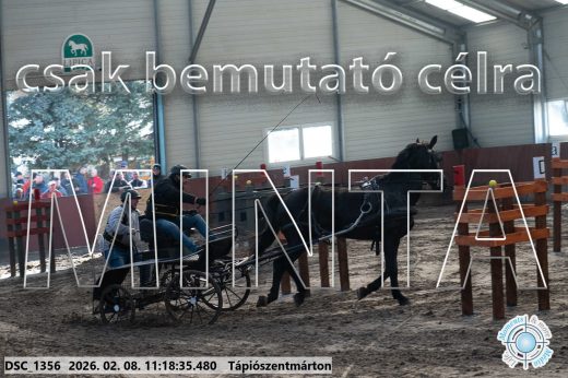 Mintakép 20260208-1612