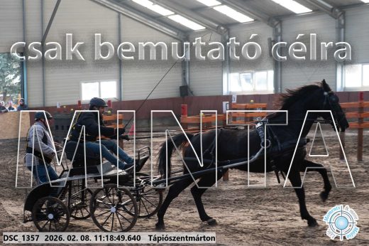 Mintakép 20260208-1613