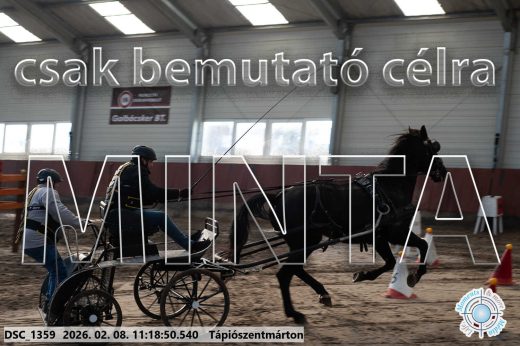 Mintakép 20260208-1615