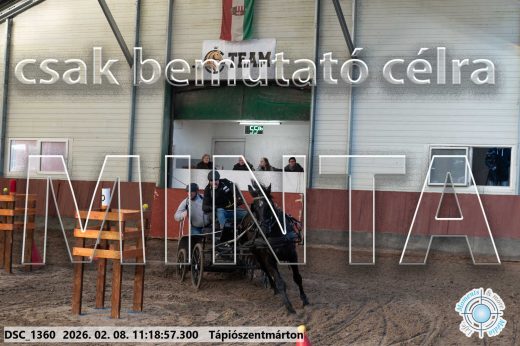 Mintakép 20260208-1616