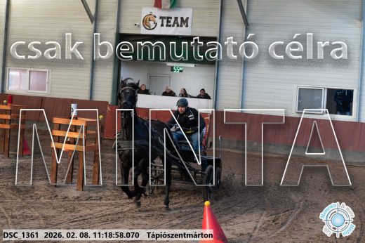 Mintakép 20260208-1617