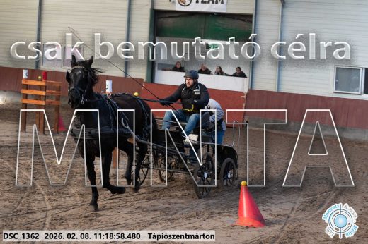Mintakép 20260208-1618