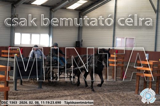 Mintakép 20260208-1619