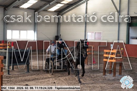 Mintakép 20260208-1620