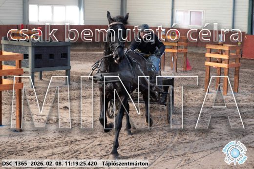 Mintakép 20260208-1621