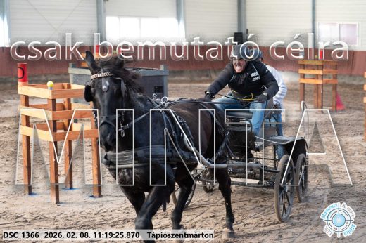 Mintakép 20260208-1622