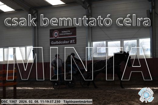 Mintakép 20260208-1623