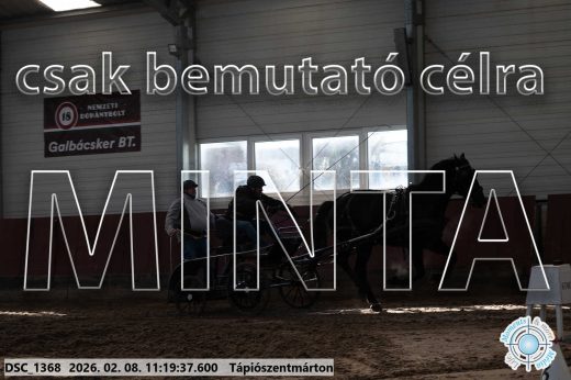 Mintakép 20260208-1624