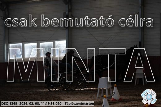 Mintakép 20260208-1625