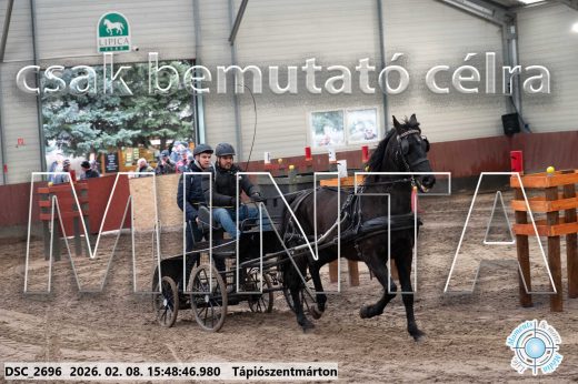 Mintakép 20260208-1627