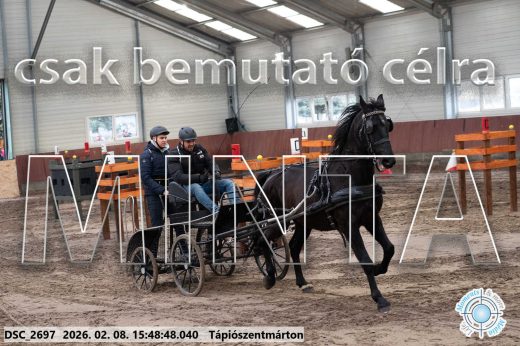 Mintakép 20260208-1628