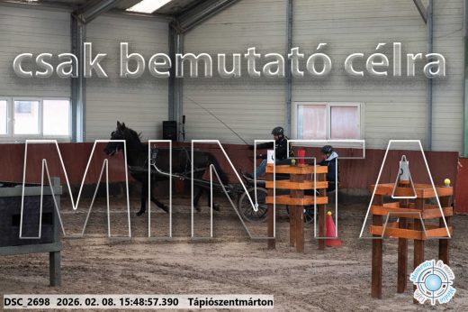 Mintakép 20260208-1629