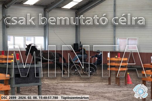 Mintakép 20260208-1630