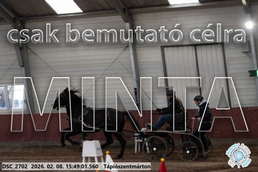 Mintakép 20260208-1633