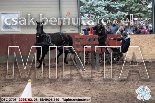 Mintakép 20260208-1634